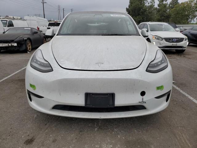 2023 TESLA MODEL Y - 7SAYGDEE5PA128286