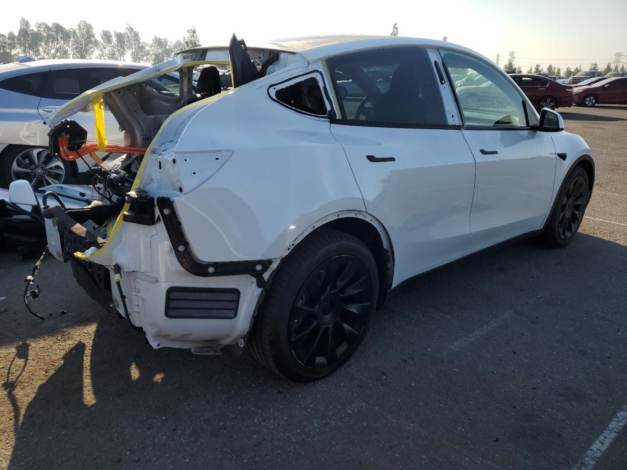 Lot #2974377477 2021 TESLA MODEL Y