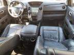 HONDA PILOT EXL photo