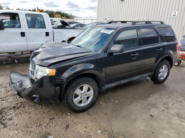 2010 FORD ESCAPE XLT #3033176173