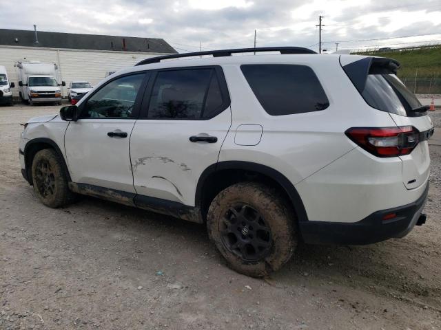 2024 HONDA PILOT TRAI 5FNYG1H67RB016336