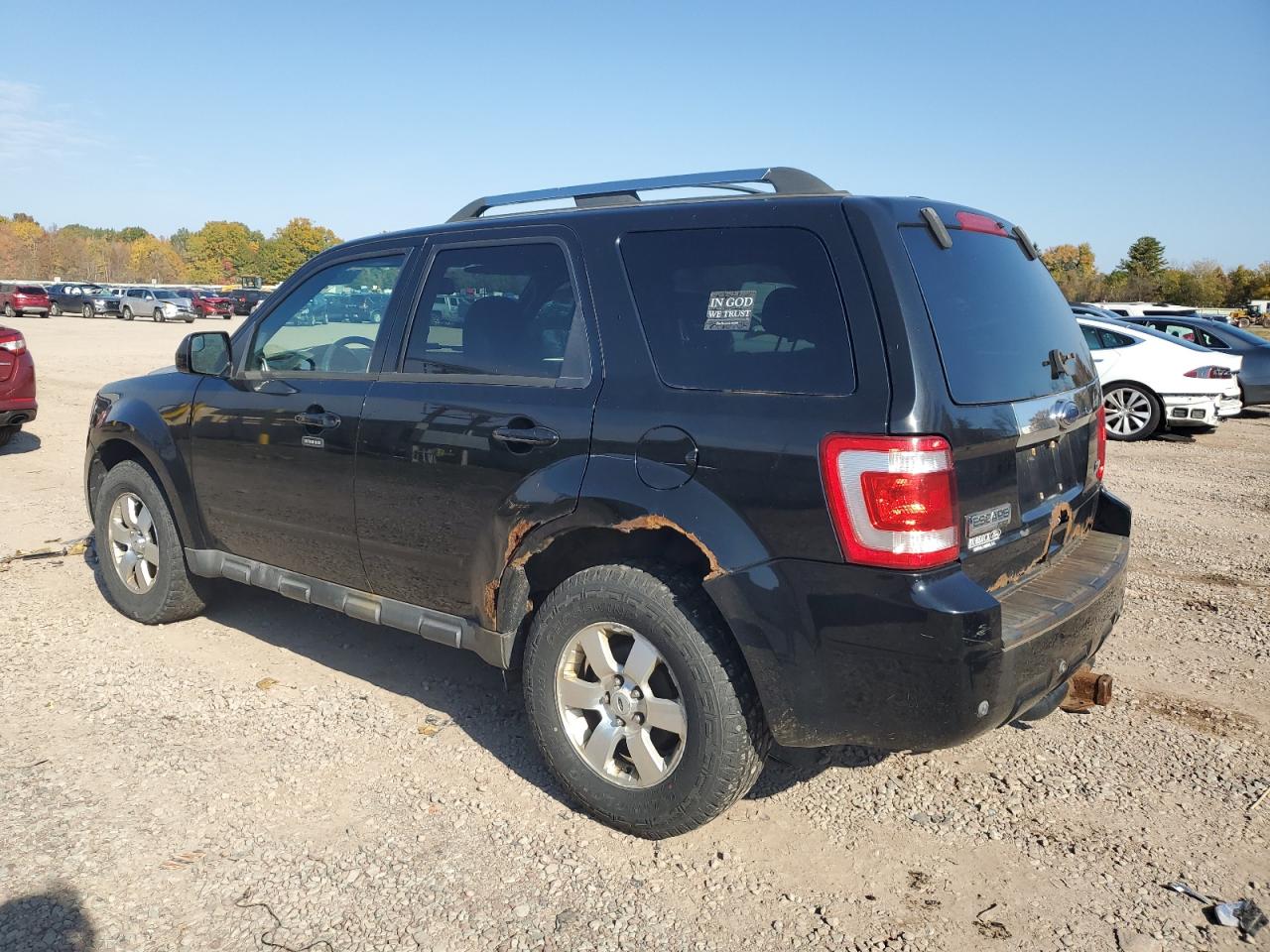 Lot #2923862917 2010 FORD ESCAPE LIM