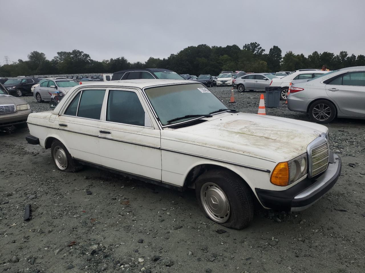 Lot #3009410558 1978 MERCEDES-BENZ 240 CLASS