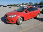 FORD FOCUS SE photo