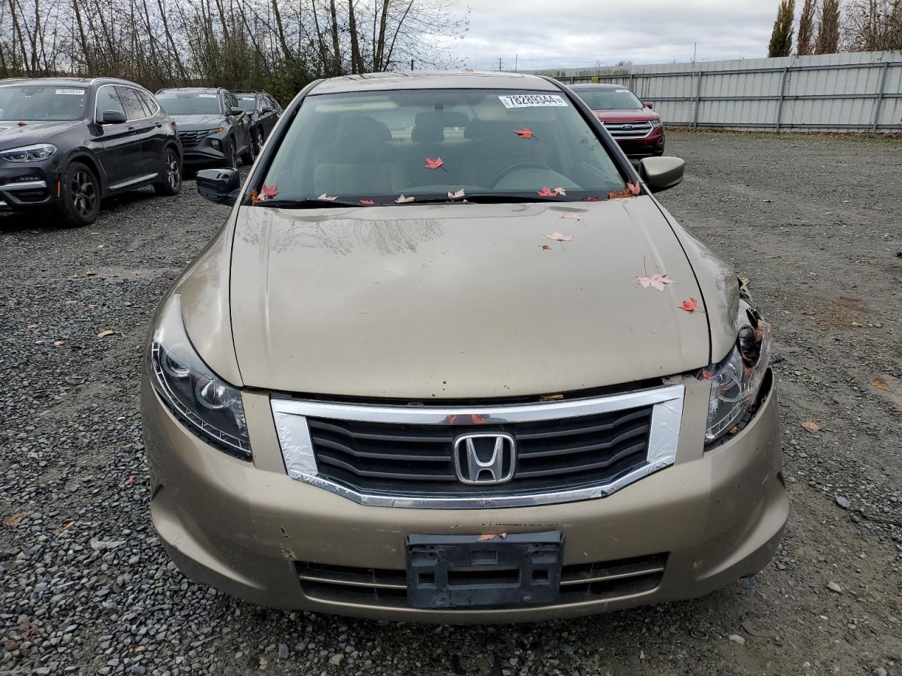 Lot #2935683911 2008 HONDA ACCORD EX