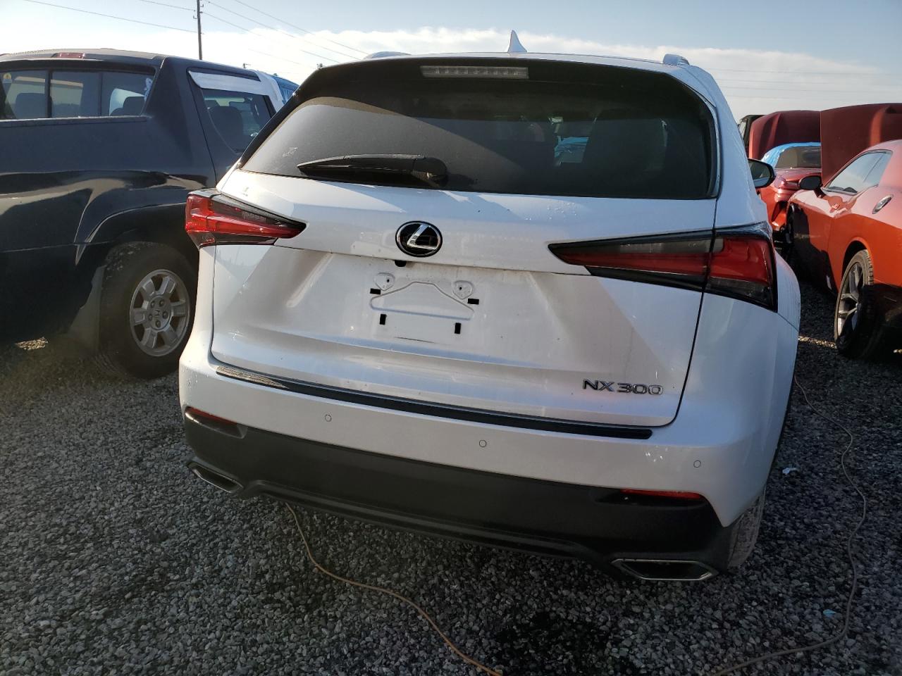 Lot #2989157810 2020 LEXUS NX 300