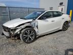 2017 NISSAN MAXIMA 3.5 - 1N4AA6APXHC415696