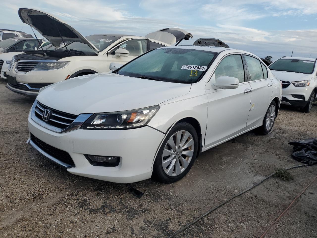 Lot #3026941249 2015 HONDA ACCORD EXL