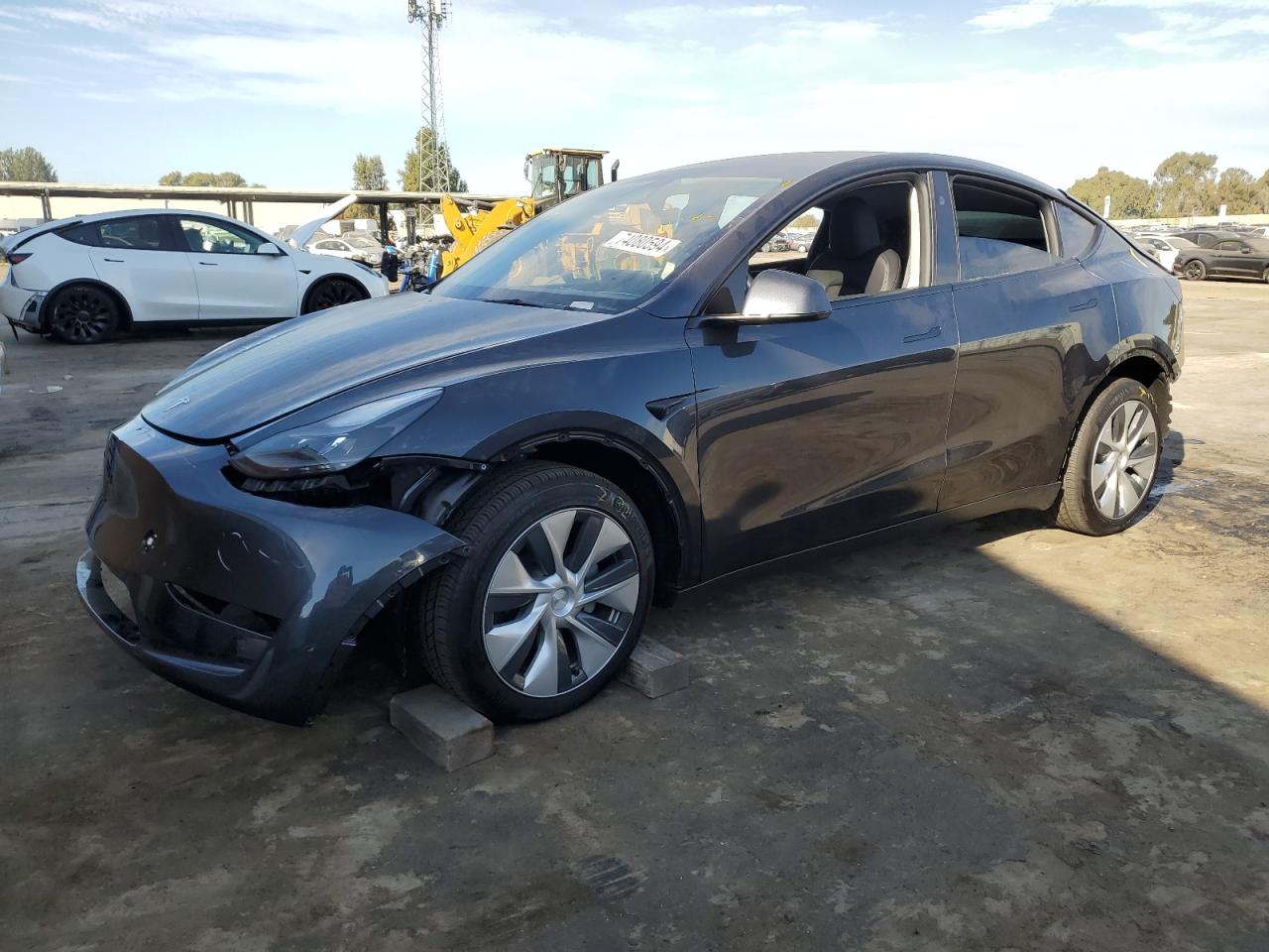 Lot #3034473739 2024 TESLA MODEL Y