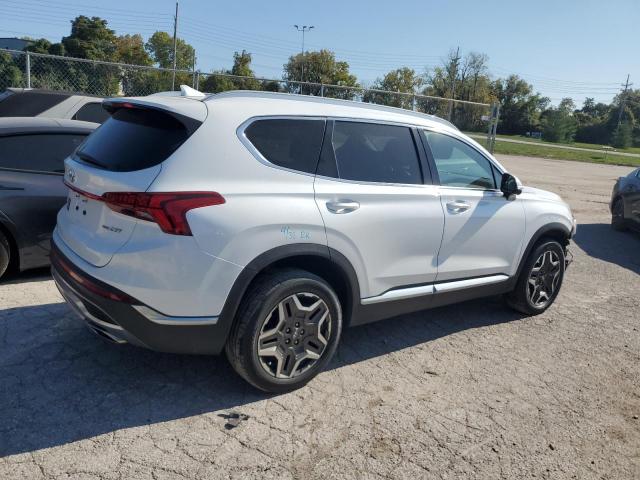 2021 HYUNDAI SANTA FE L - 5NMS4DAL3MH372239