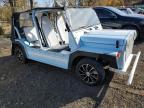 Lot #2952217026 2020 MOKE CRUISER