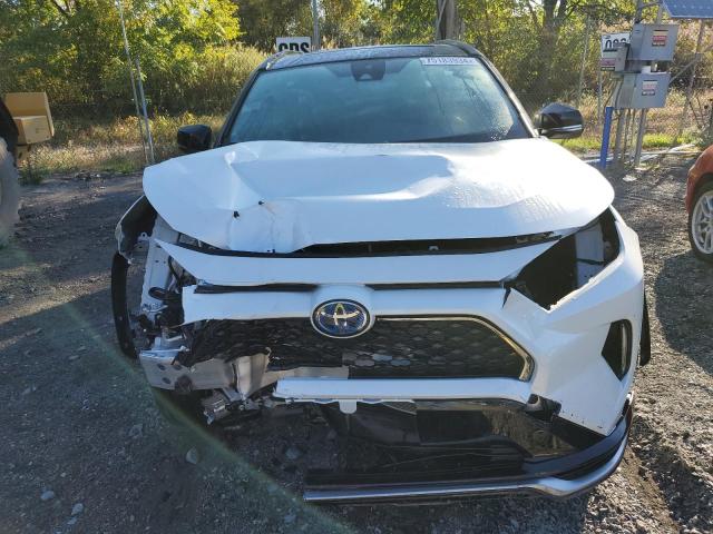 VIN JTMEB3FV5RD172776 2024 Toyota RAV4, Xse no.5