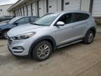 2017 HYUNDAI TUCSON LIM - KM8J33A43HU361303