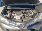 TOYOTA RAV4 LE photo