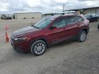 2021 JEEP CHEROKEE L - 1C4PJLCB8MD164489