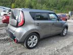 KIA SOUL + photo