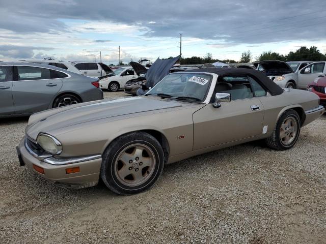 JAGUAR XJS 2+2 1995 tan  gas SAJNX2748SC195936 photo #1