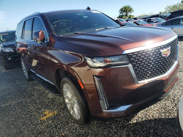 2023 CADILLAC ESCALADE P - 1GYS3BKL5PR179557