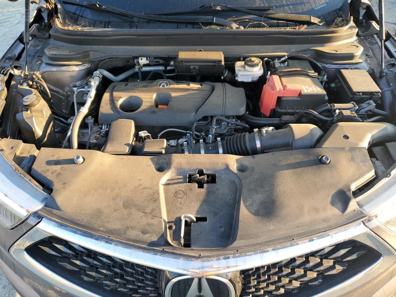 Lot #2989035532 2020 ACURA RDX ADVANC