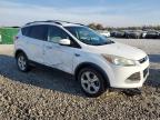 FORD ESCAPE SE снимка