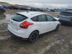 Lot #3028852076 2013 FORD FOCUS SE