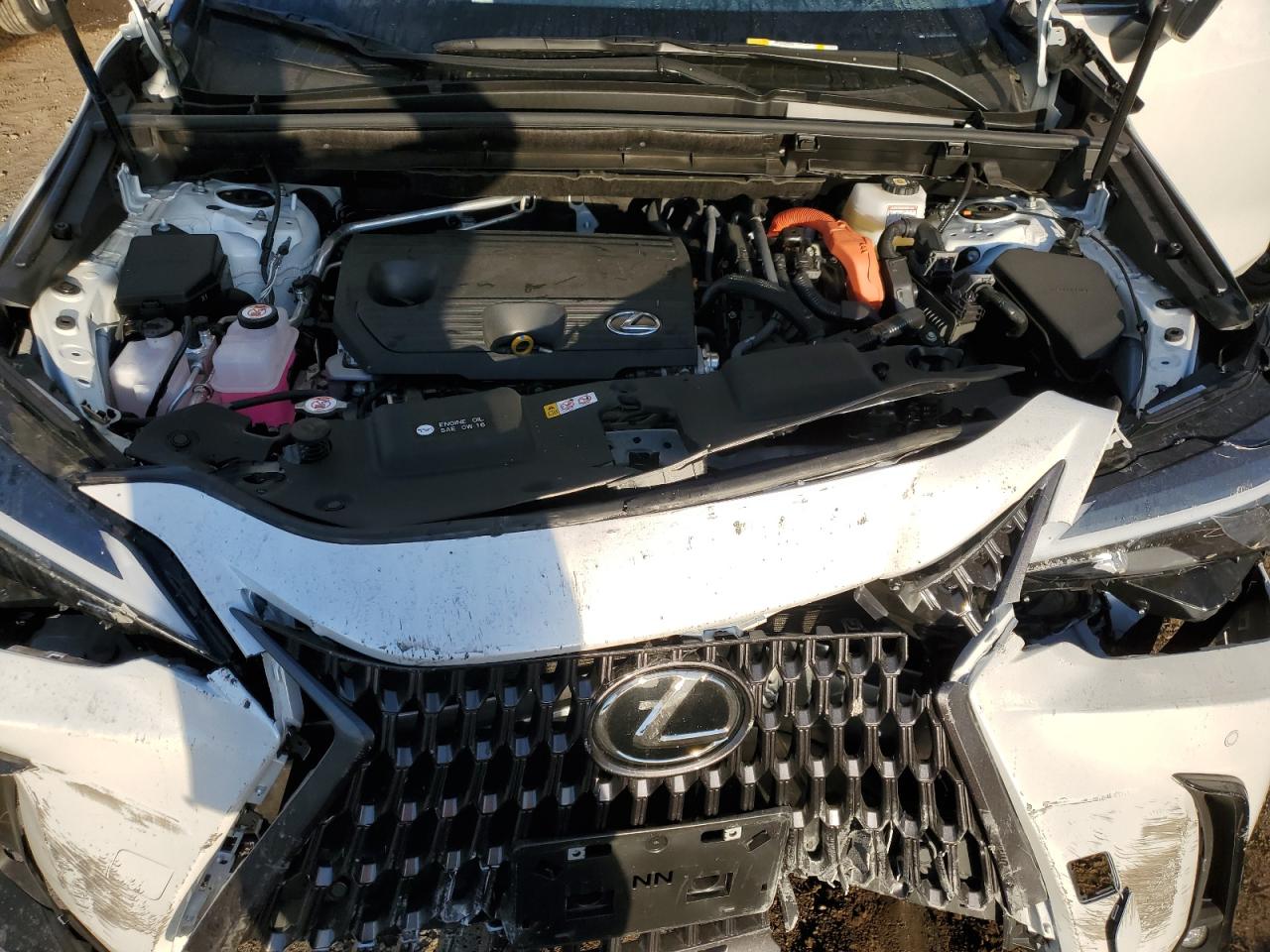 Lot #2986737247 2024 LEXUS NX 350H BA