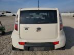 KIA SOUL + photo