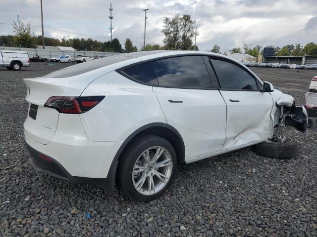2024 TESLA MODEL Y - 7SAYGDEE1RF084714
