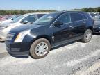 CADILLAC SRX LUXURY photo