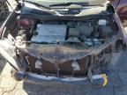 LEXUS RX 350 photo