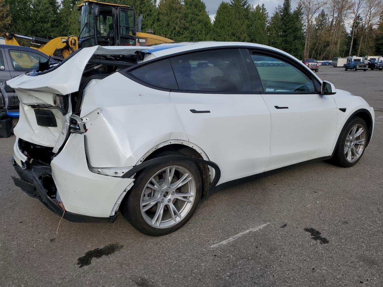 Lot #2989373689 2023 TESLA MODEL Y