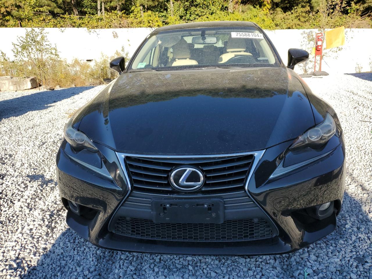 Lot #2974831058 2014 LEXUS IS 250