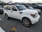 DODGE NITRO HEAT photo