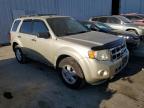 FORD ESCAPE XLT photo