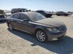 LEXUS LS 460 photo