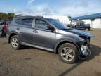 TOYOTA RAV4 XLE photo