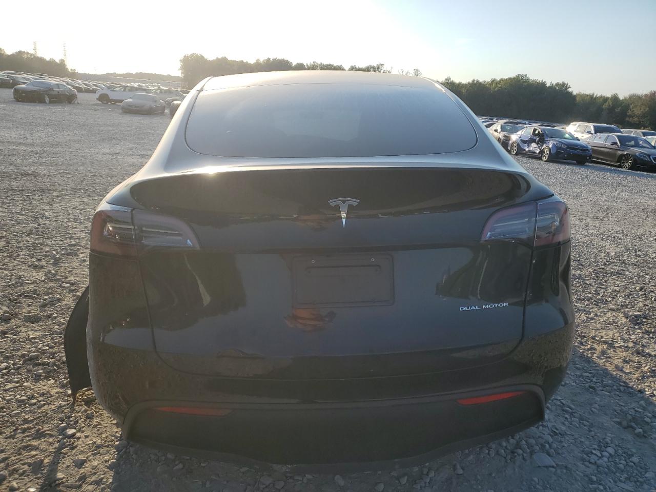 Lot #2990997187 2023 TESLA MODEL Y