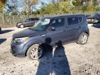 KIA SOUL + photo