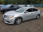 Lot #2936112478 2016 NISSAN ALTIMA 2.5