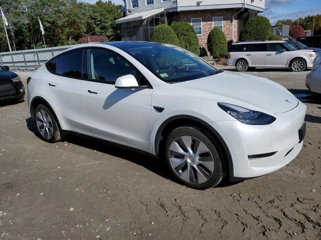 2023 TESLA MODEL Y - 7SAYGDEE6PA077249