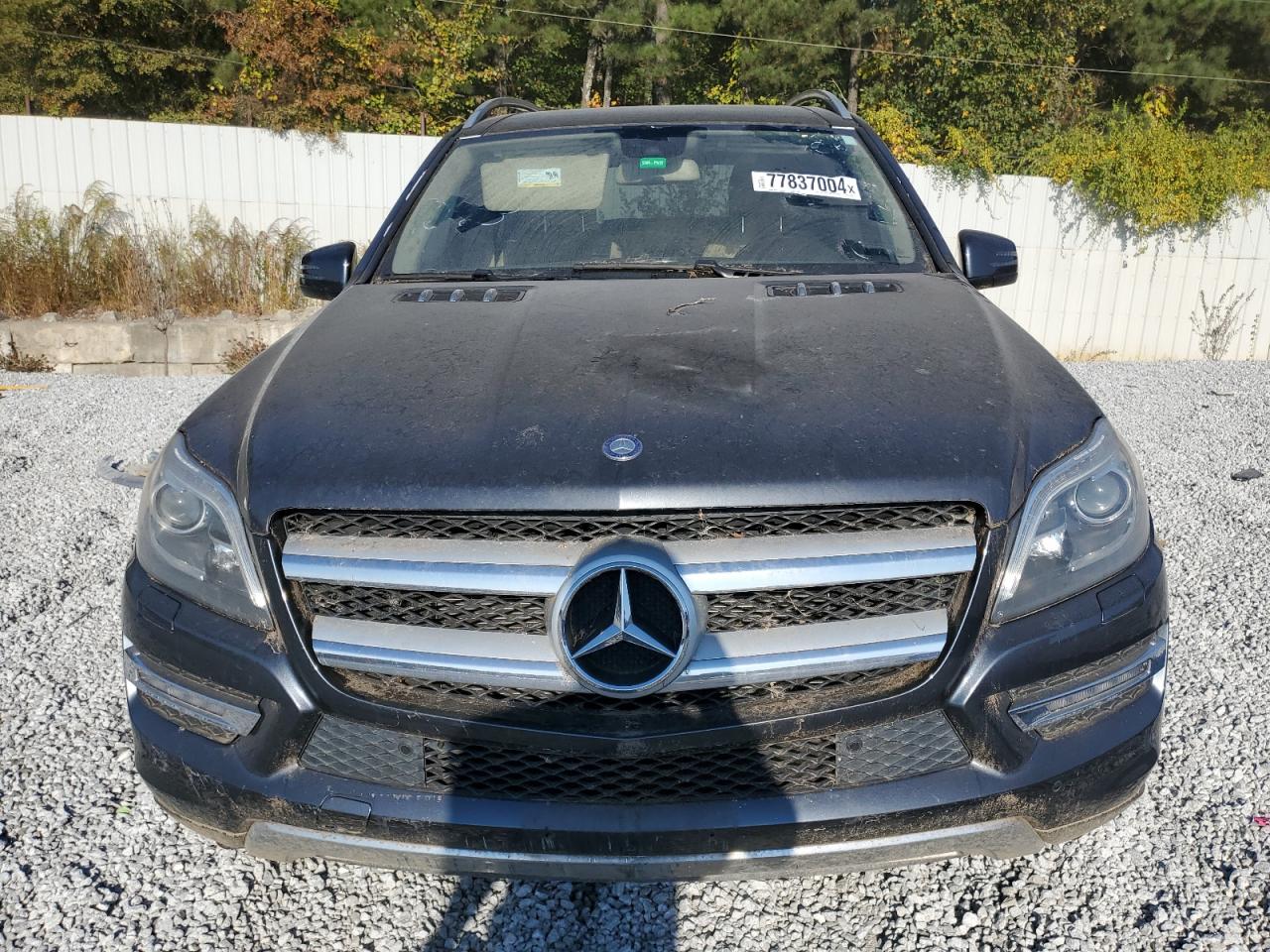 Lot #2974238350 2013 MERCEDES-BENZ GL 450 4MA