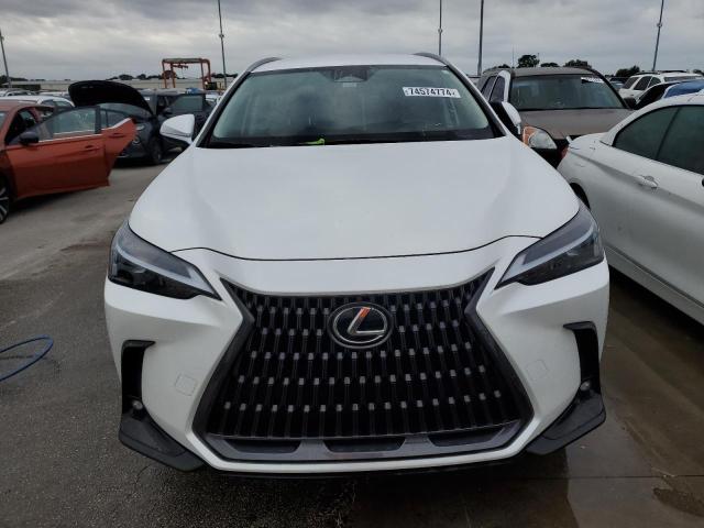 2023 LEXUS NX 250 JTJADCAZ5P2006346