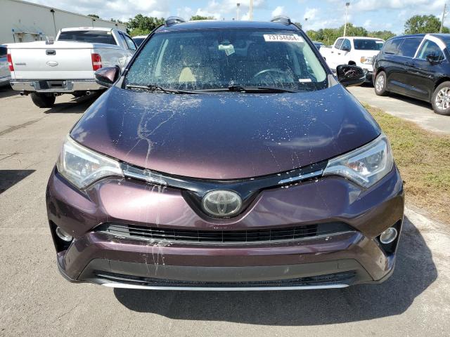 VIN 2T3YFREV6GW282631 2016 Toyota RAV4, Limited no.5