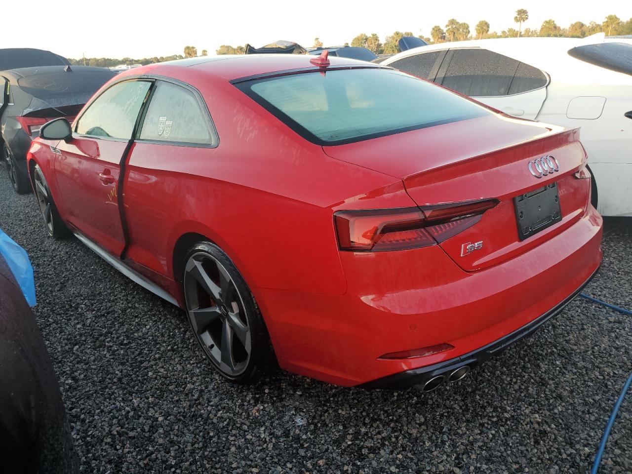 Lot #2985688598 2019 AUDI S5 PREMIUM