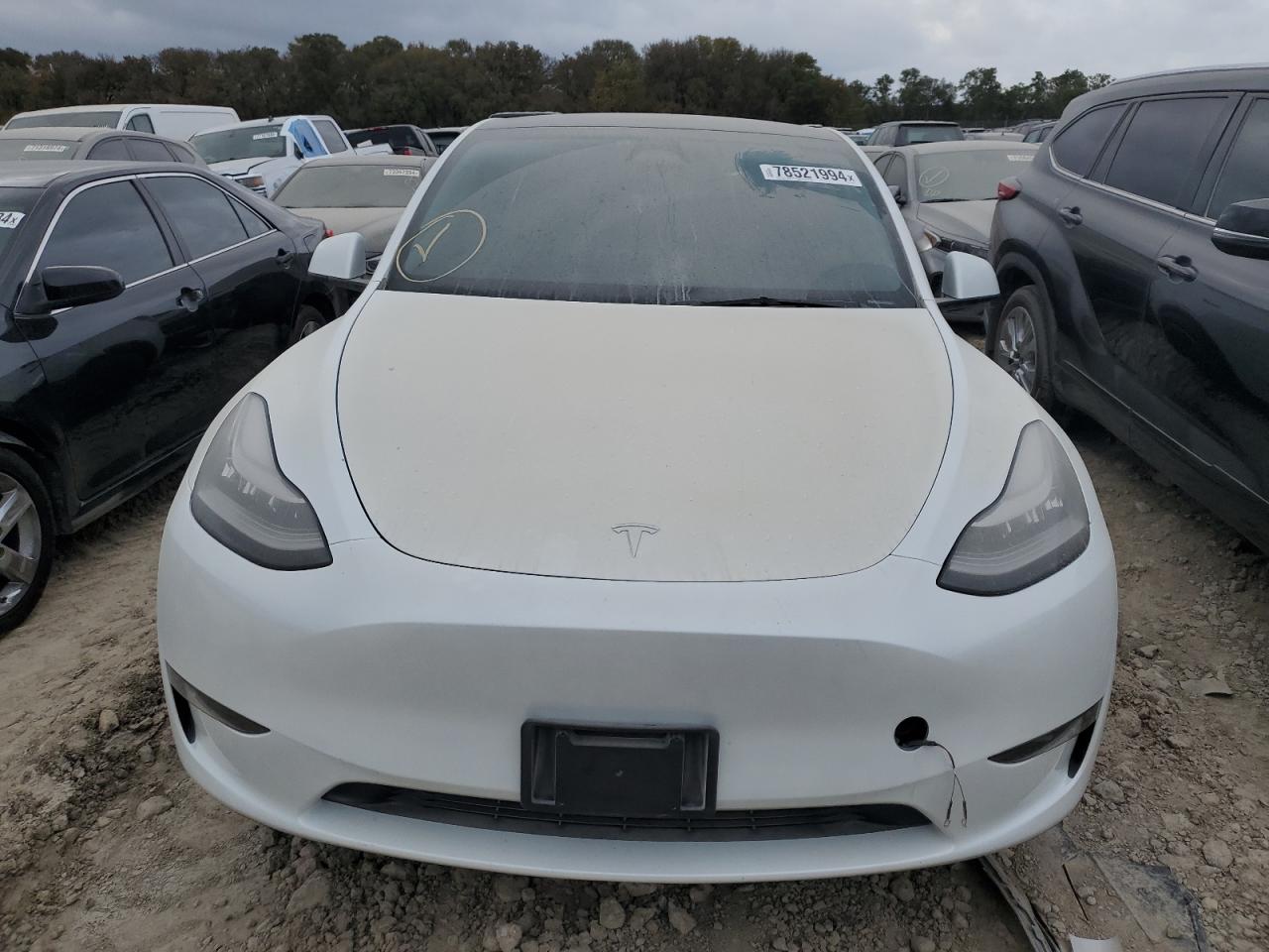 Lot #2943101453 2023 TESLA MODEL Y