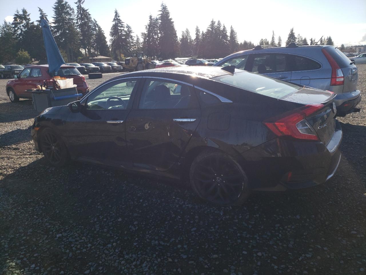 Lot #2979573579 2020 HONDA CIVIC TOUR