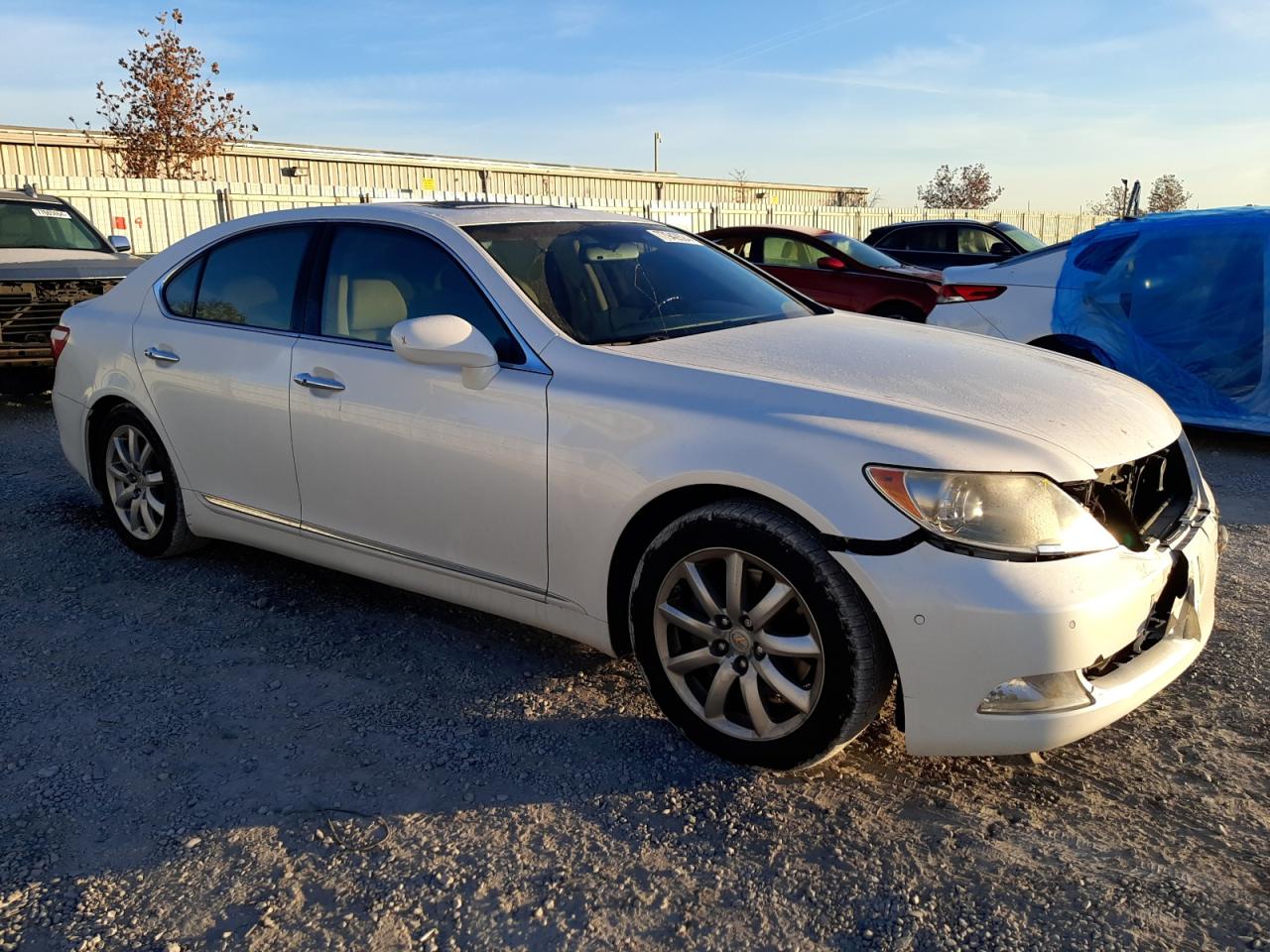 Lot #2940781395 2008 LEXUS LS 460