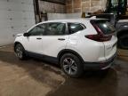 Lot #2955717496 2021 HONDA CR-V LX