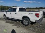 Lot #3004249893 2014 FORD F150 SUPER