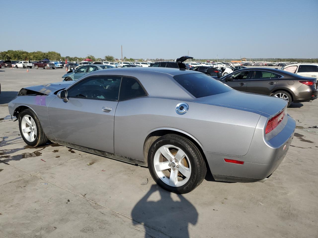 Lot #2919313458 2014 DODGE CHALLENGER